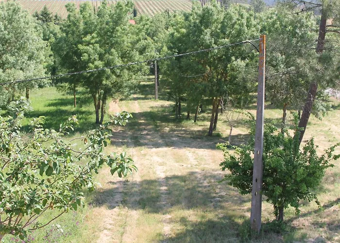 Herdade Dos Templarios * Tomar